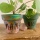 Toddler DIY: Painted Flower Pots